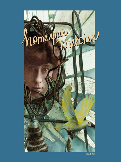 Title details for Homespun Mercies by DJ Hill - Wait list